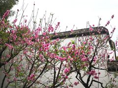-乌山风景区