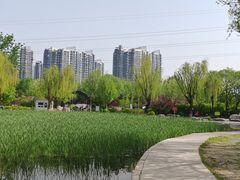 -太阳宫公园