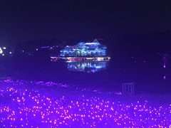 -大塘金香草谷