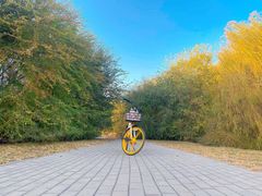 -东坝千亩湖公园