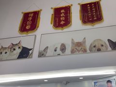 -爱侣宠医·鹦鹉专科·小型哺乳类·异宠专科(灵石路店)