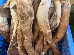 -滇铺子(欣都龙城店)