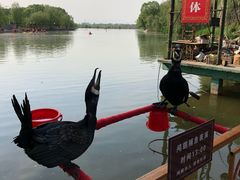 -东方巨龟苑景区