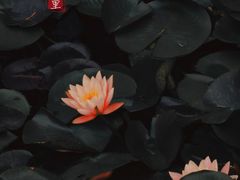 -北京市劳动人民文化宫(太庙)