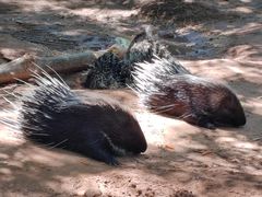 -鄂尔多斯野生动物园