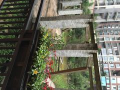 黔蘑菇四季餐厅(观山湖店)-黔蘑菇四季餐厅(观山湖店)