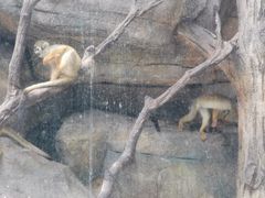 -泉州海丝野生动物世界