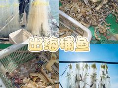 -宁波松兰山滨海旅游度假区