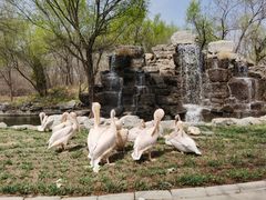 -北京野生动物园