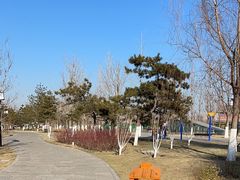 -西海子公园