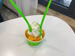 -Salud撒露欧洲冻酸奶(798艺术区店)