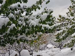 -南山公园