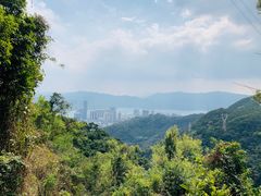 -梧桐山风景名胜区