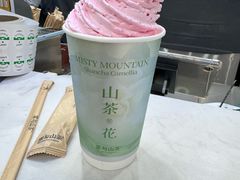 -雾与山茶(大禹城店)
