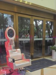 -碧莲盛·不剃发植发