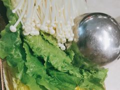 -掂档潮汕牛肉火锅(沈阳万象城店)