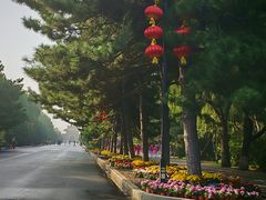 -北陵公园