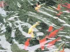 -咱家王新国把子肉(县东巷店)