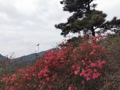-木兰云雾山