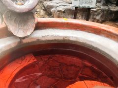 -龙达温泉生态城