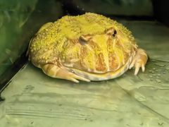 -上海大自然野生昆虫馆
