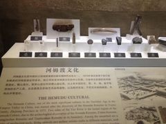 -余姚博物馆
