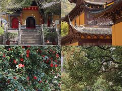 -张鸟园农家乐(张鸟园店)