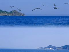 -海驴岛(荣成市)