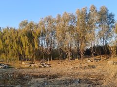 -马家湾湿地公园