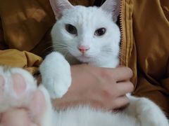 -瑞鹏瑞爱宠物医院·全科·猫科·血液透析中心(龙头寺店)