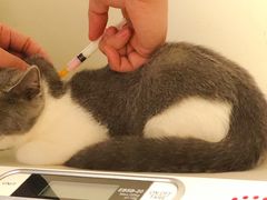 -爱诺耐芙动物医院(万博店)