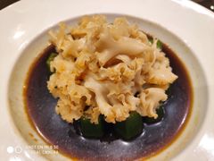 捞汁秋葵绣球菌-阿庄新豫菜(航海东路店)