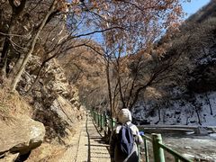 -少华山国家森林公园