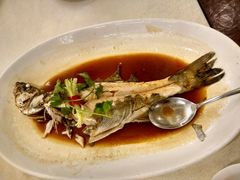 -新海利海鲜城·41年珠海老字号(夏湾店)