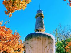 -北宫国家森林公园