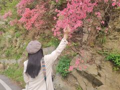 -木兰云雾山