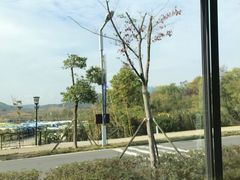 -茅山东方盐湖城景区