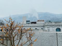 -南京东郊国宾馆