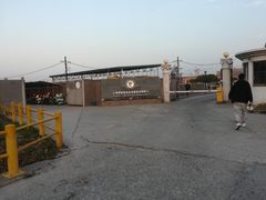 -胜华驾校·小猫学车(银都店)