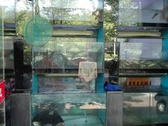 -全乐鱼馆·淳牌有机鱼直营店