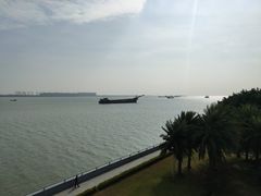 -大湾区中央湿地公园