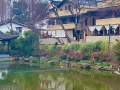 -朴墅(西湖青芝坞店·杭帮菜·家宴.14年的店)