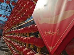 -北京凤凰岭