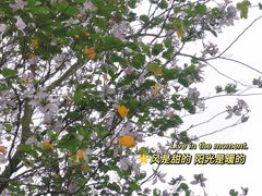 -南宁南湖公园