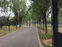 -东郊湿地公园