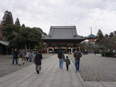 -成田山新胜寺