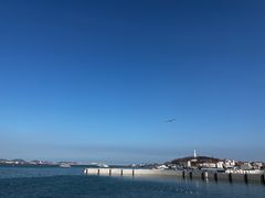 -烟台海昌鲸鲨海洋公园