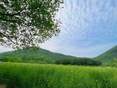 -八卦田遗址公园