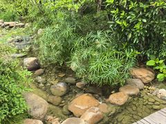 -活水公园