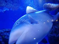 -成都浩海立方海洋公园